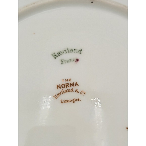 2 Antique Haviland Limoges 8.5 Salad Plates 233 Norma Pink Yellow Flowers AS-IS - Picture 4 of 10